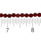 307440e353b333616c1e67294e9f13c7.JPG